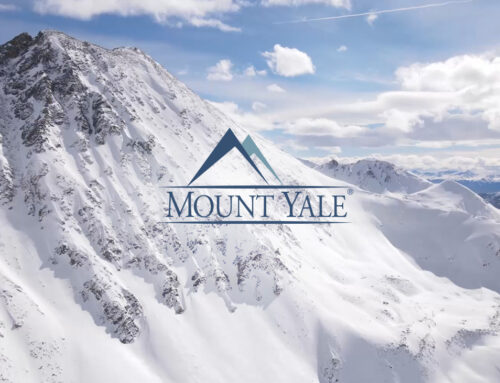 Mount Yale Wealth Management Website